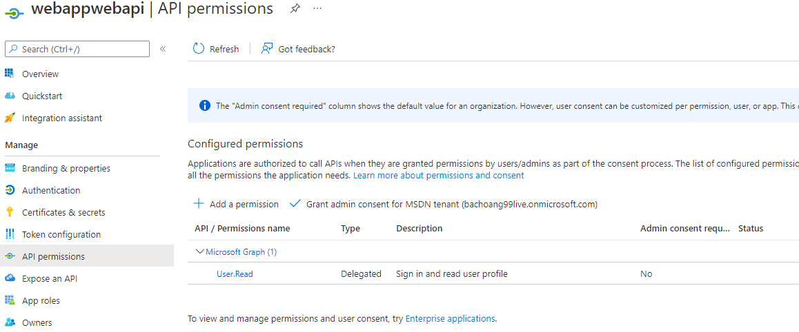 Using Microsoft.Identity.Web to request multiple different Azure AD ...